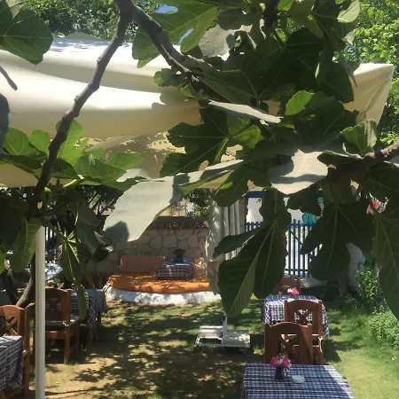 Alojamento de Acomodação e Pequeno-almoço Tuana Butik Çeşme