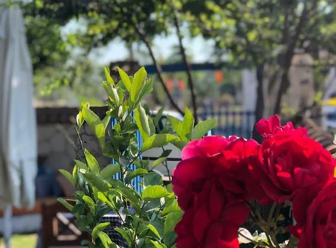 Tuana Butik 2* Çeşme