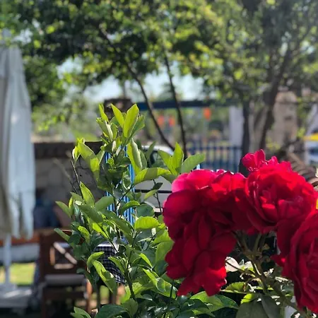 Tuana Butik 2* Çeşme